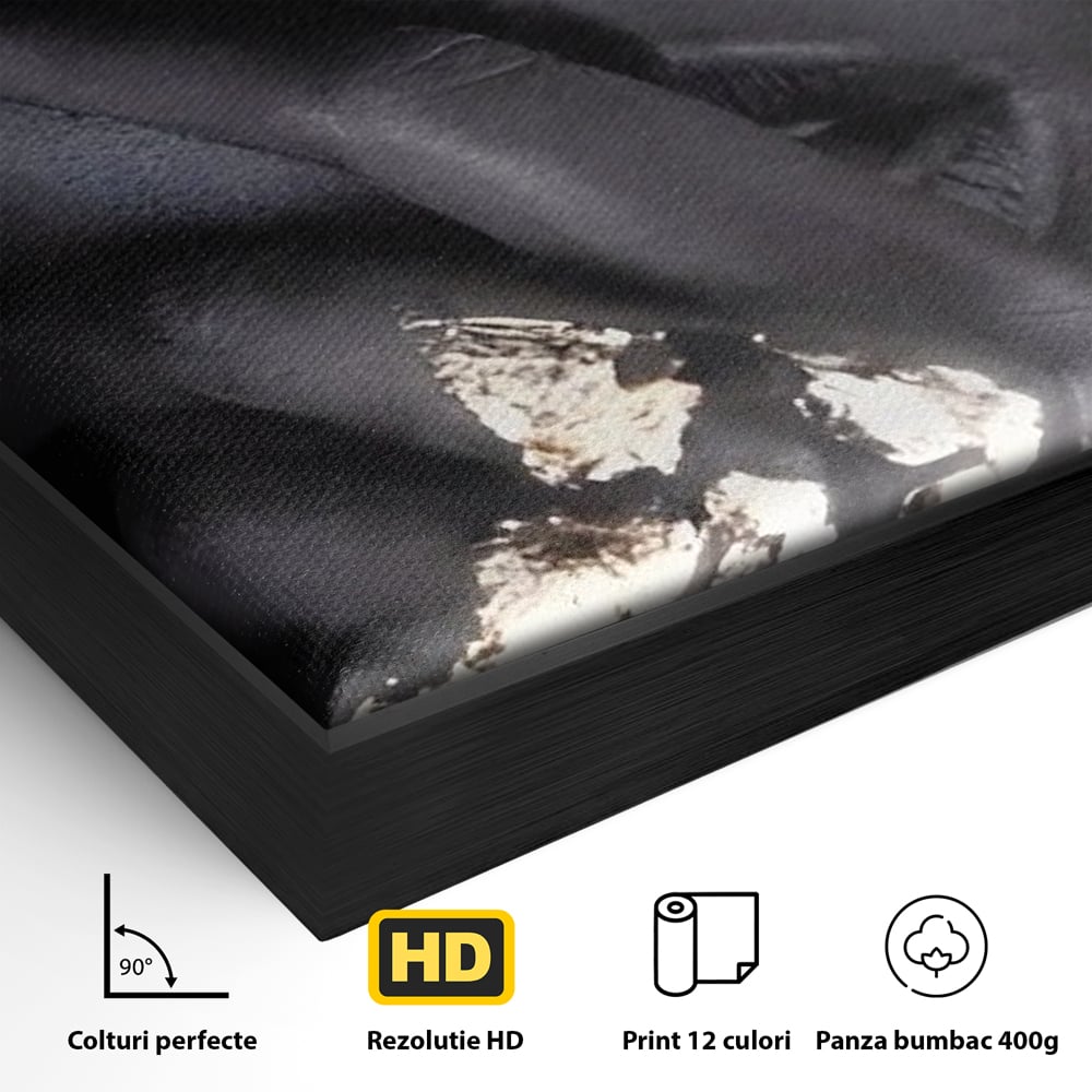 Detaliu al suprafetei: tablou canvas cu portret de femeie, in rama de aluminiu negru